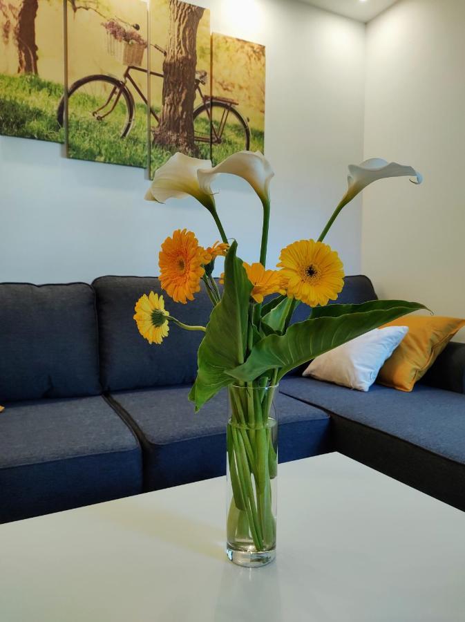 Casa Di Stefano Apartment & Spa ซลาตีบอร์ ภายนอก รูปภาพ